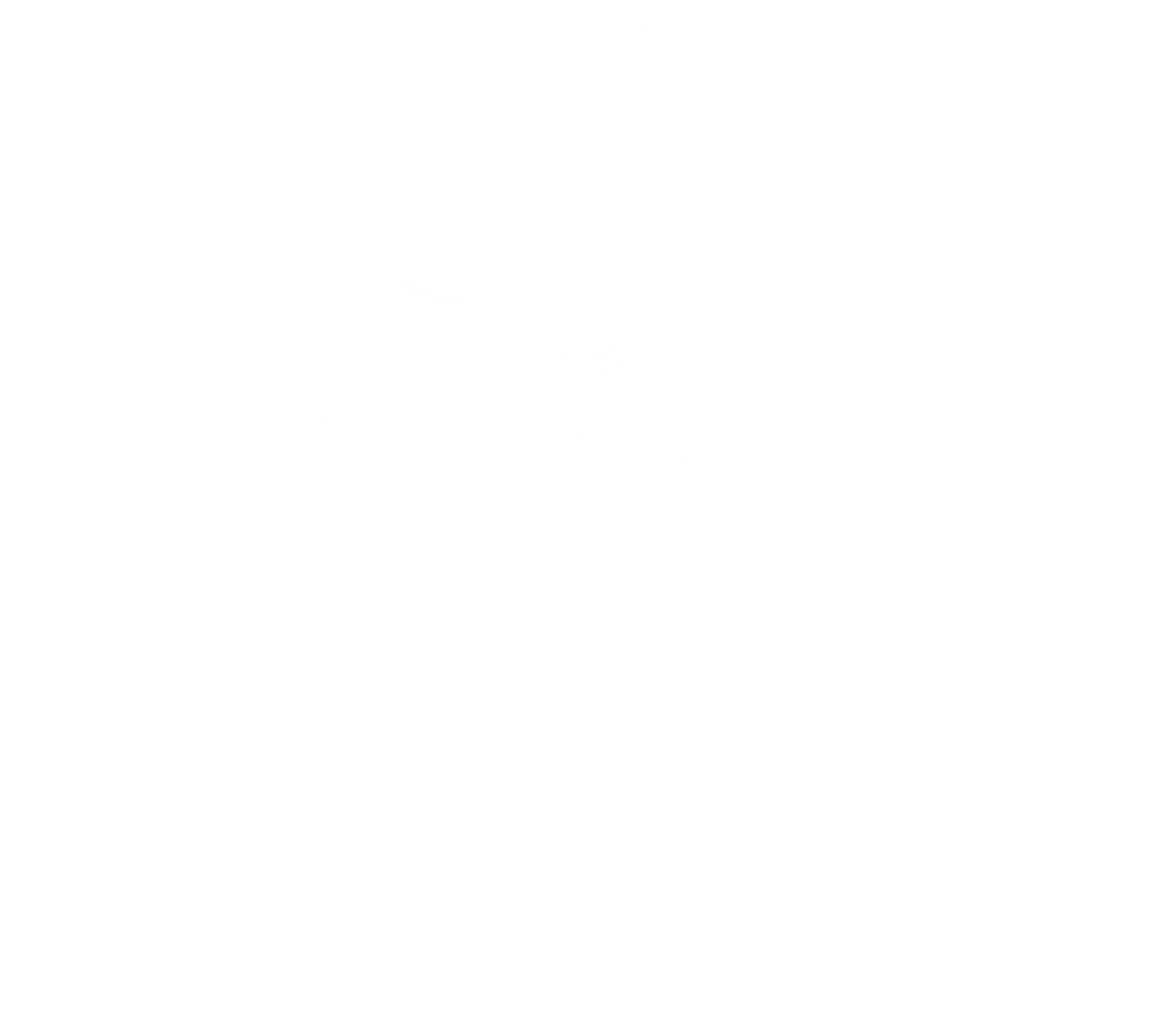The Wizard of Wood